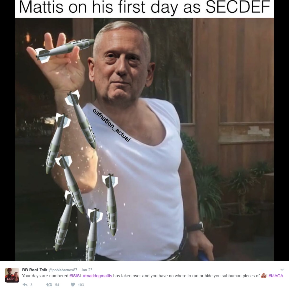 Secretary of Defense Gen. James 'Mad Dog' Mattis memes take over the