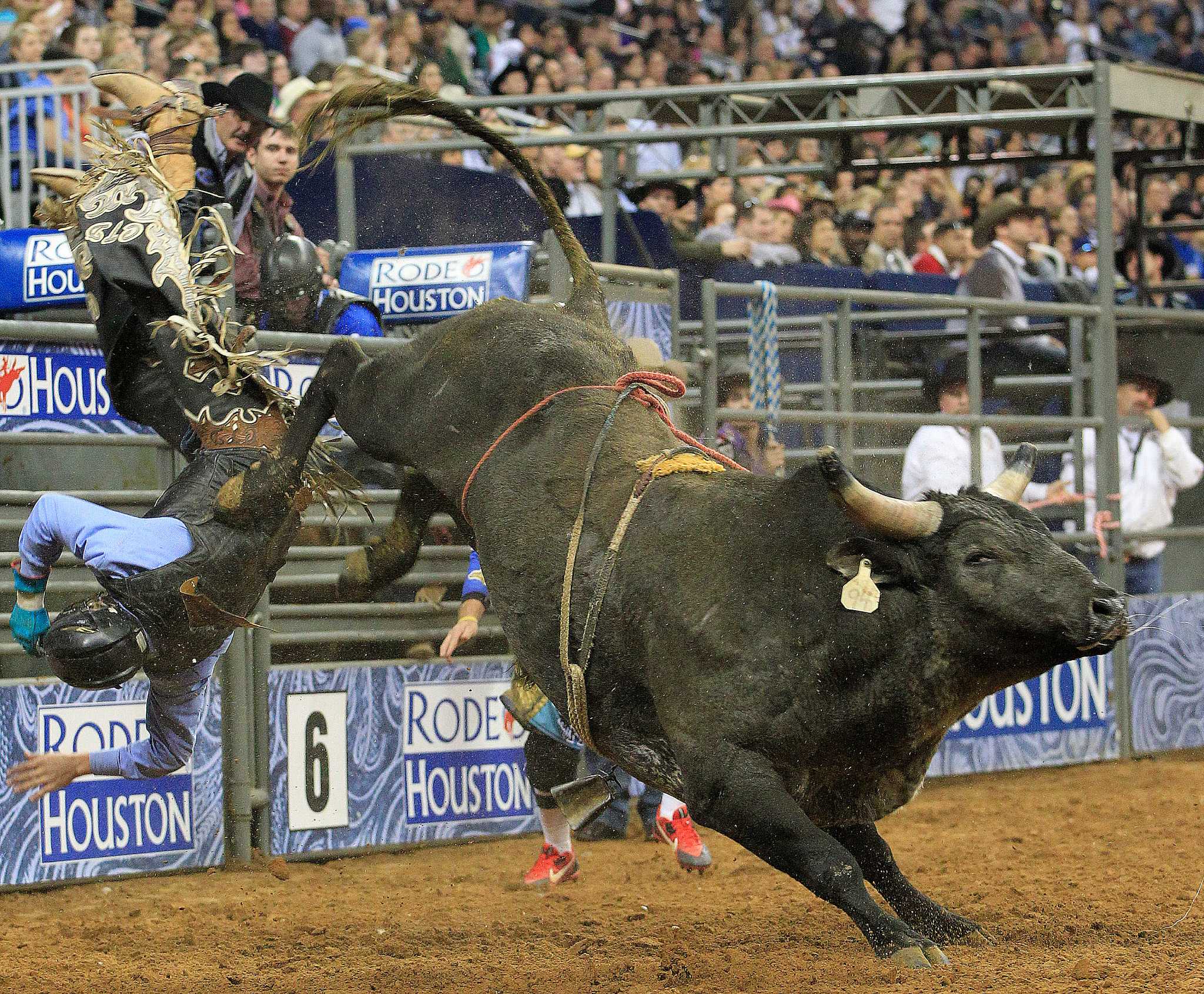 Concussions don't deter most bull riders.