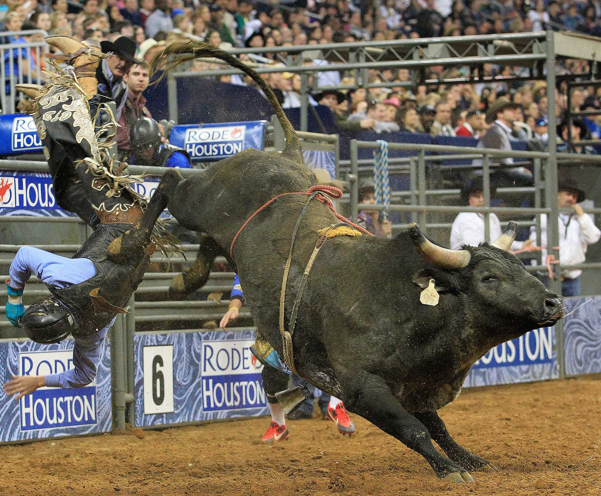 concussions-don-t-deter-most-bull-riders