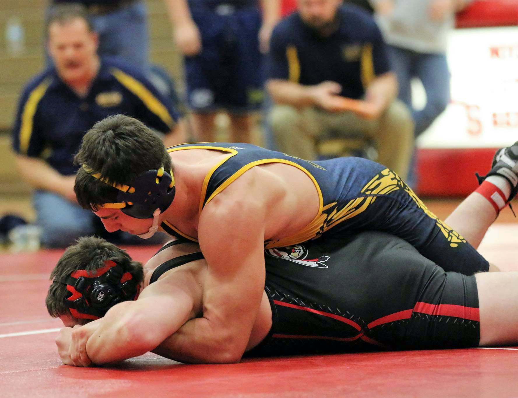 Bad Axe wrestling team takes second at MLS Tournament