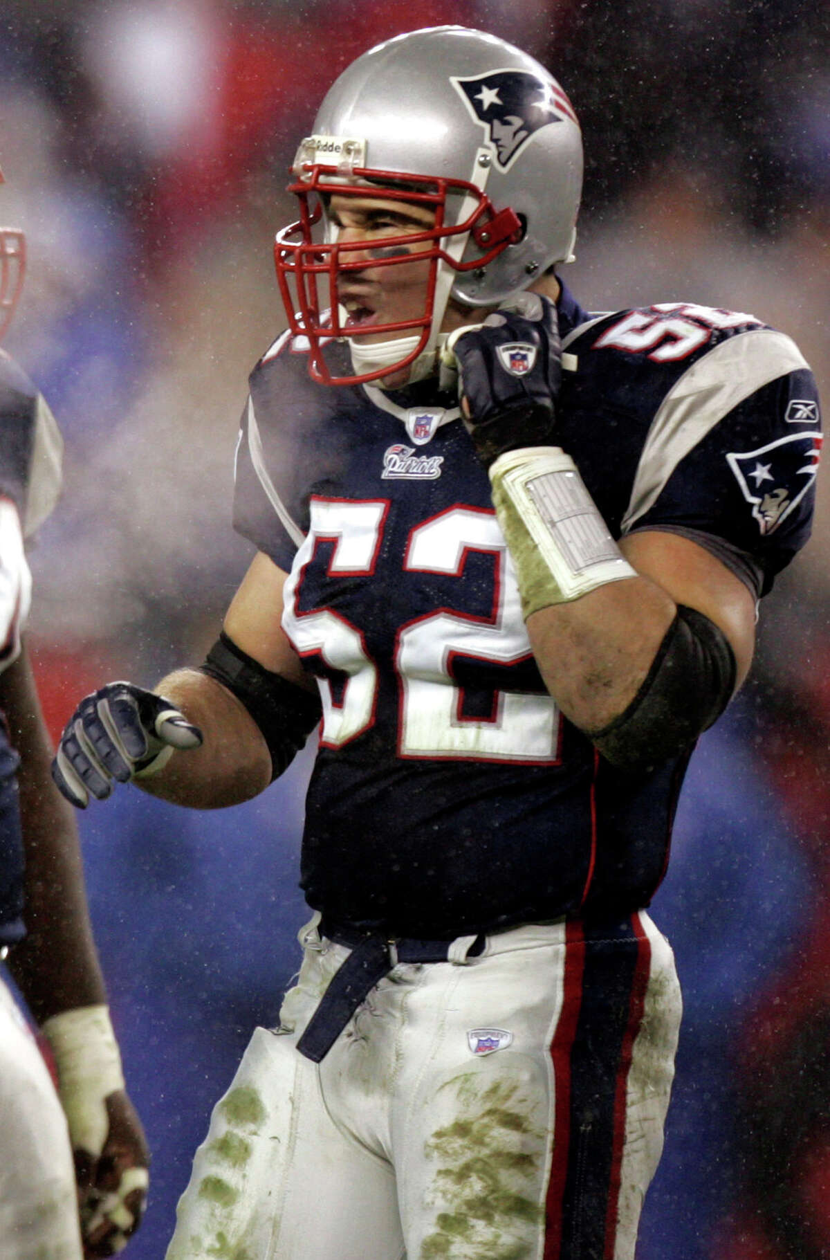 New England Patriots linebacker Ted Johnson looks on during the AFC divisional playoff game against the Indianapolis Colts in this Jan. 16, 2005 file photo, in Foxboro, Mass. (AP Photo/Michael Dwyer)