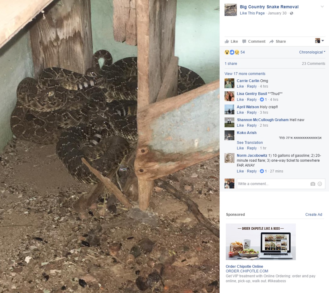 A boy found a rattlesnake in a toilet. Then a snake catcher found 23 more, News