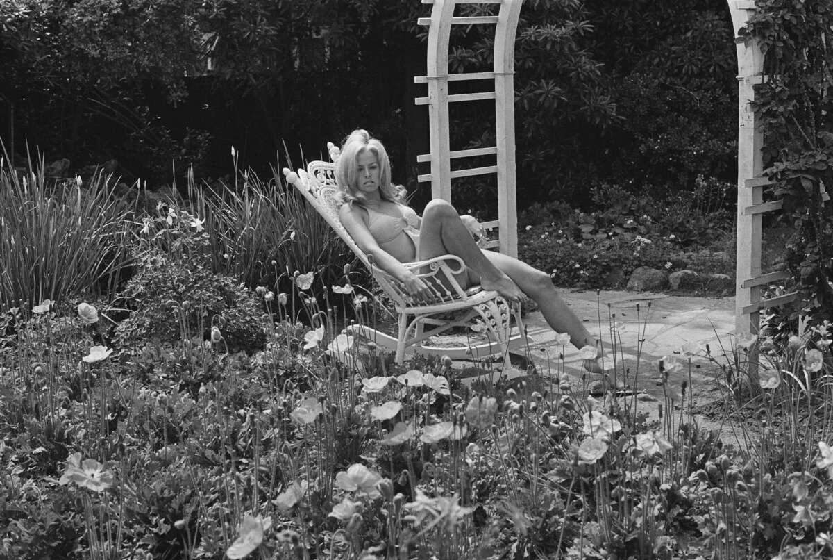 Fawcett relaxing in the garden, USA, 4th May 1970.
