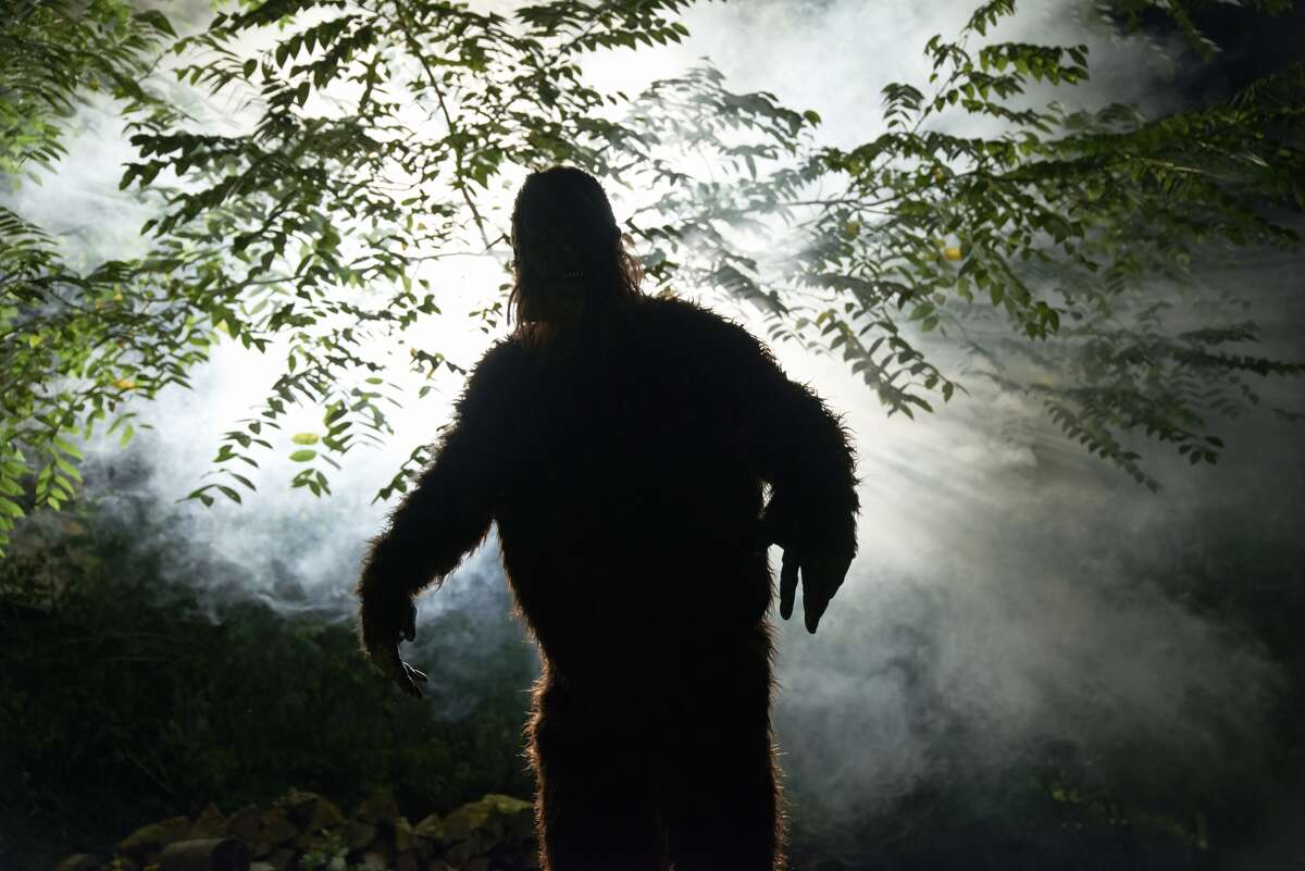Click through the slideshow for a few strange facts you may not know about the Capital Region and beyond. 104 Bigfoot sightings were listed on The Bigfoot Field Researchers Organization website in New York state. There were 12 in Warren County and 9 in Washington County, with the latest being June 2015: "Married couple has possible daytime sighting while boating on Lake George."