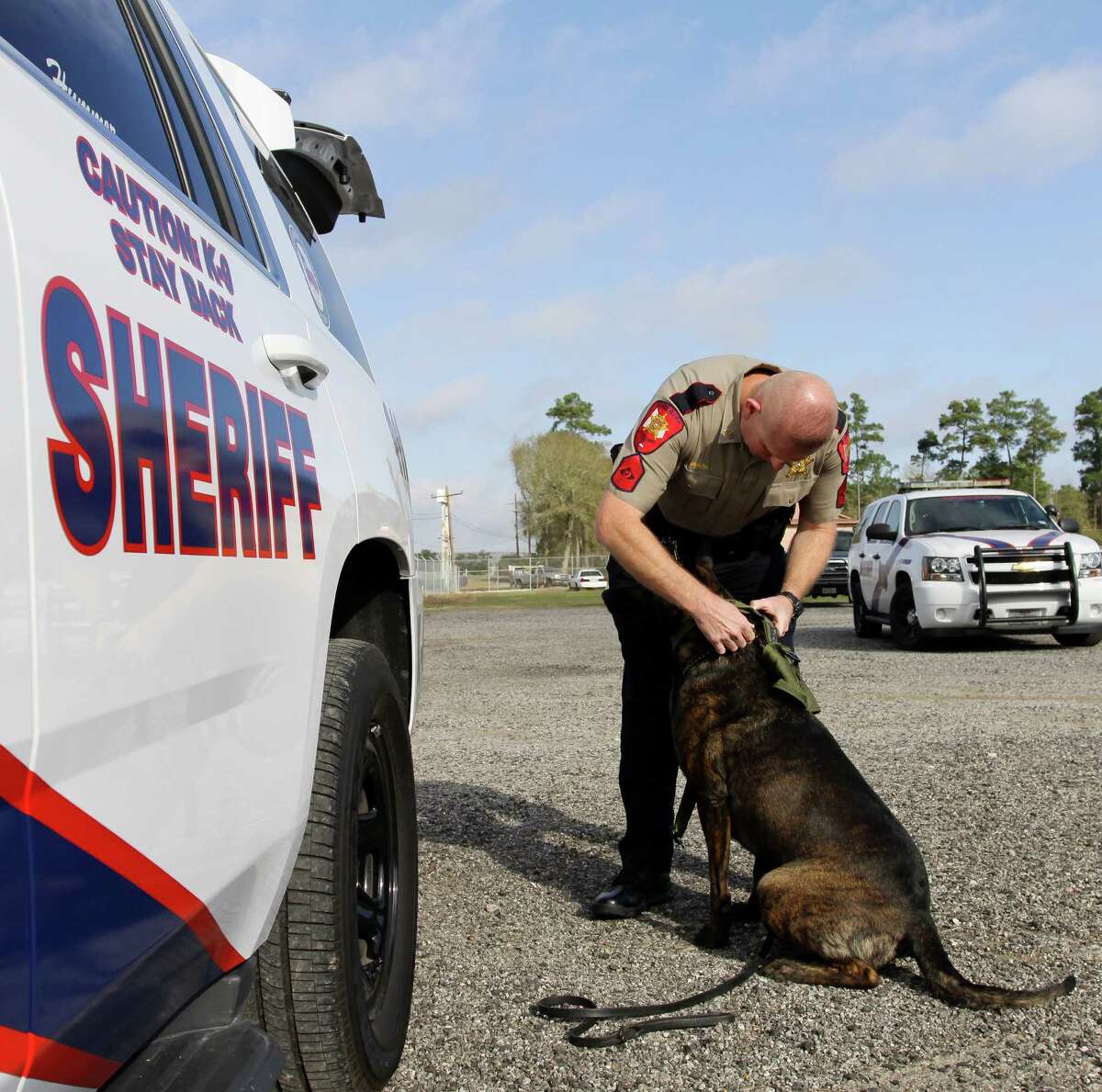 Montgomery County Sheriff's Office K9 Hummer waits as Sgt. David Birch places a harness on him at the Montgomery County Sheriff's Office Regional Training Center Wednesday, Feb. 1, 2017, in Conroe.