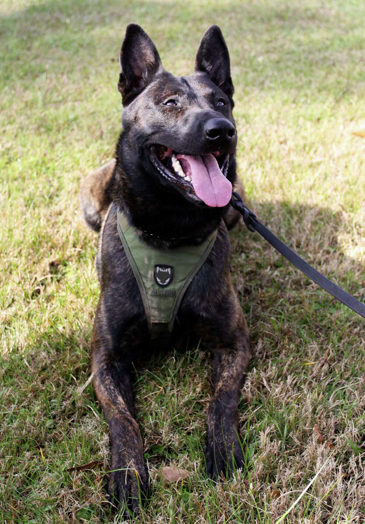 Conroe Kennel Club donates $1,500 for K9 bulletproof vests