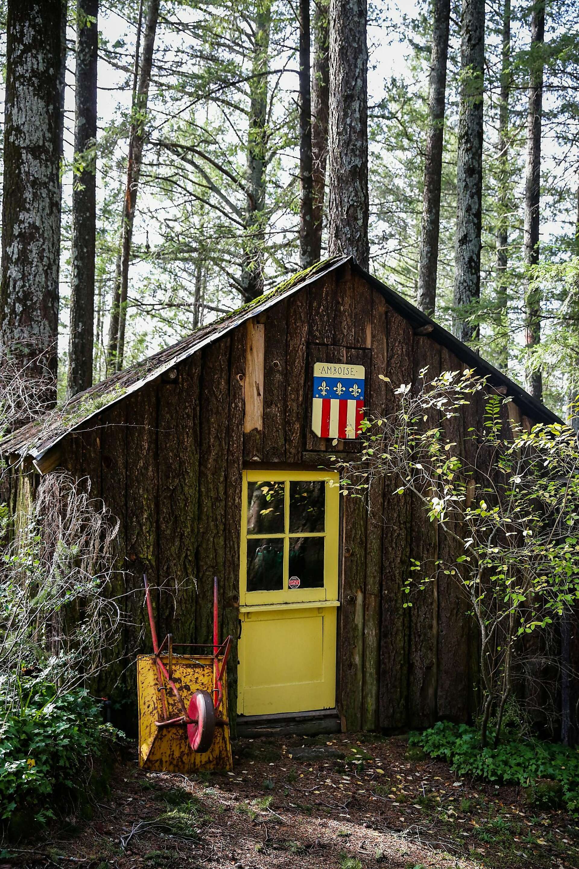 Sample the landscape, not the wine, in Napa Valley