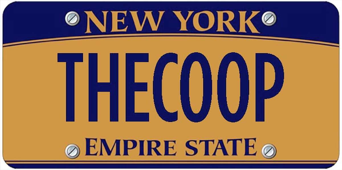 A sampling of personalized plates not allowed by New York's Department of Motor Vehicles. The list is updated periodically by state officials.