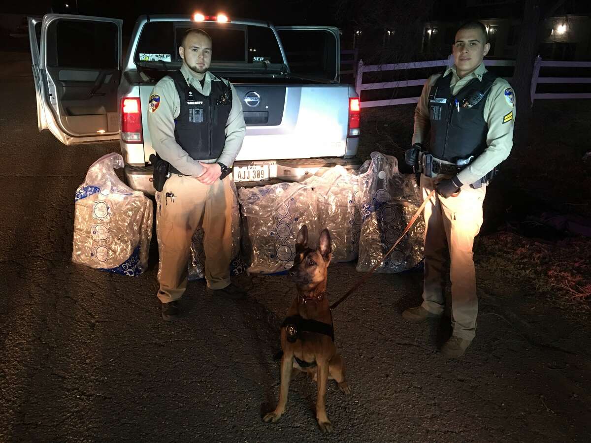 Medical marijuana Sherman County police recently busted 200 pounds of marijuana. Click through to see the strangest names for medical marijuana strains.