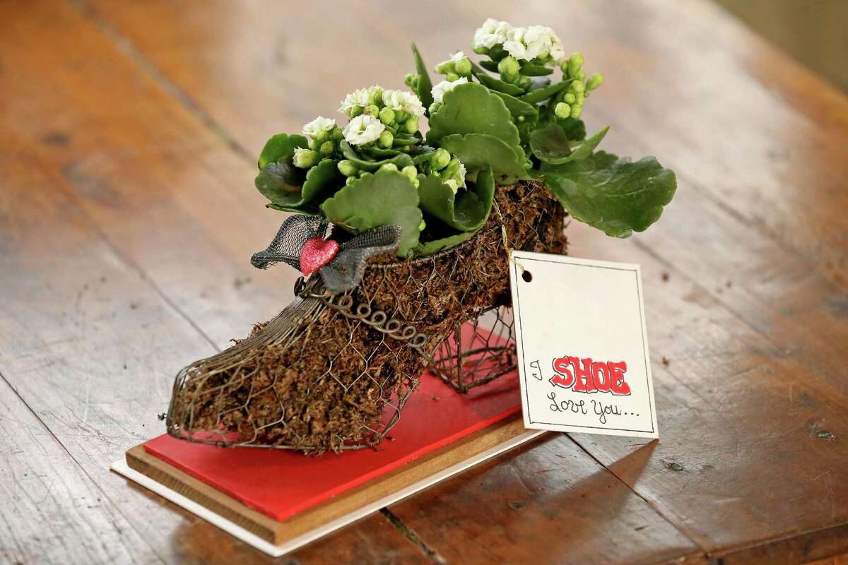 Put your best foot forward this Valentine’s Day with a plant creation that is a perfect fit for your Valentine. This project was inspired by finding an old wire shoe at a garage sale. If you can’t find this specifically, you can use other mesh forms, and use the same techniques listed below to tailor it to your true love.