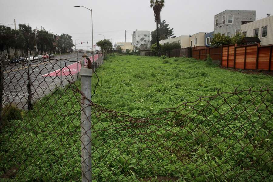 Growing Demand Brings Community Garden To Geneva Avenue At Last 