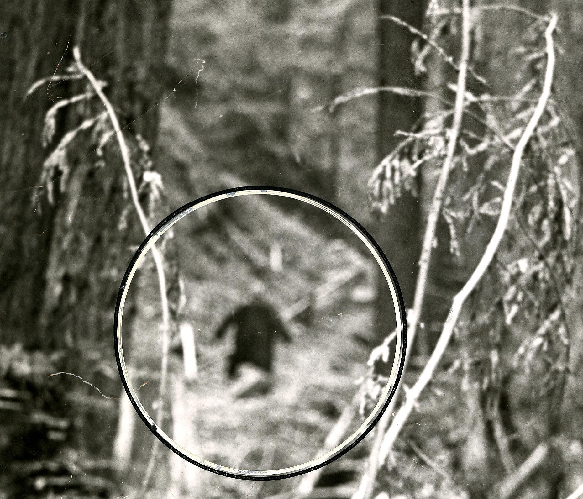 California Woman Suing State Agencies Because They Wont Recognize The Existence Of Bigfoot 4294