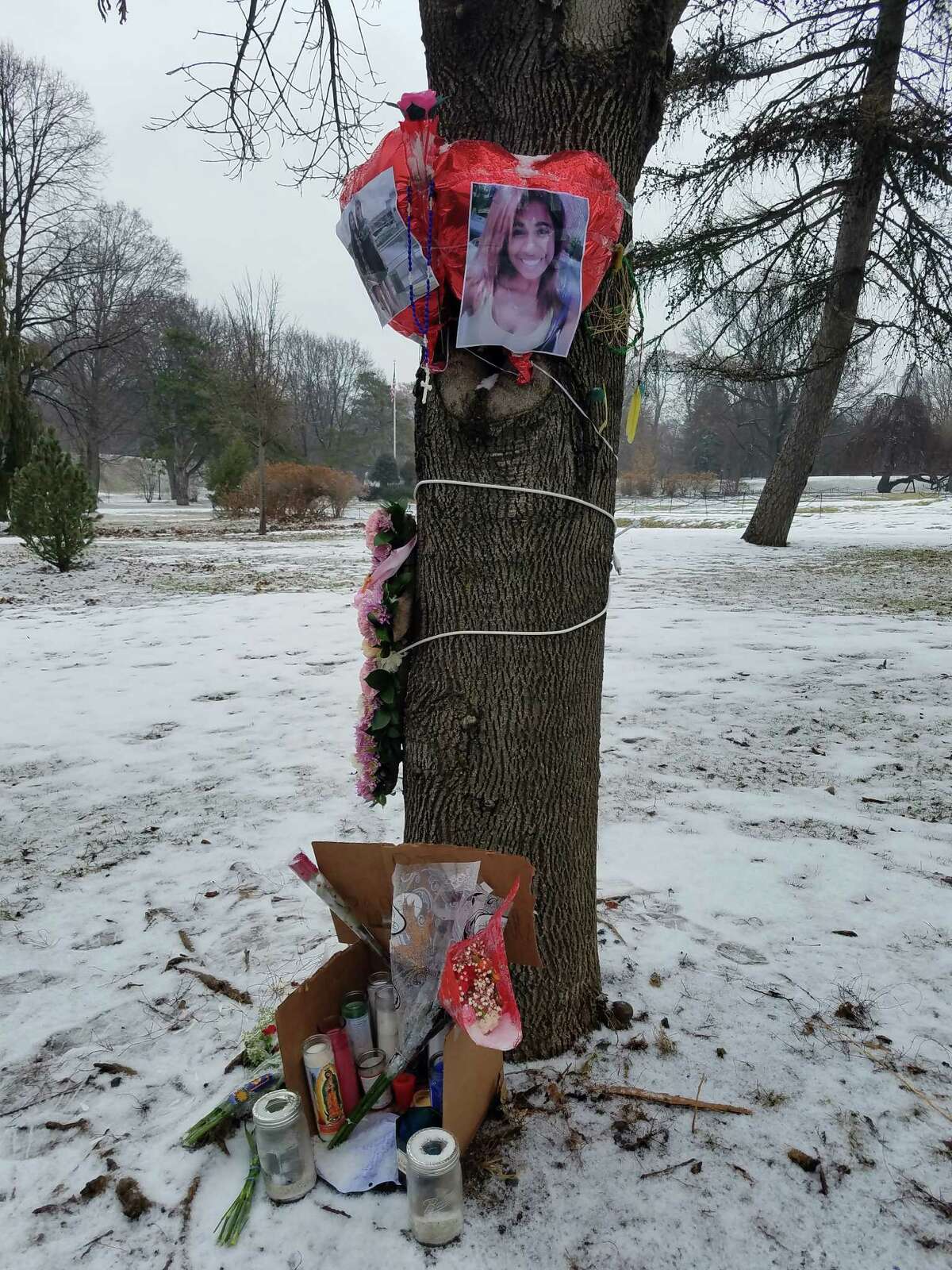 A memorial in Washington Park in Albany marks where Rajine Martinez, 21, was killed in a hit-and-run crash on Feb. 4, 2017. The circumstances of the death are unclear, but many who use the park have long been concerned about speeding traffic. (Chris Churchill / Times Union)