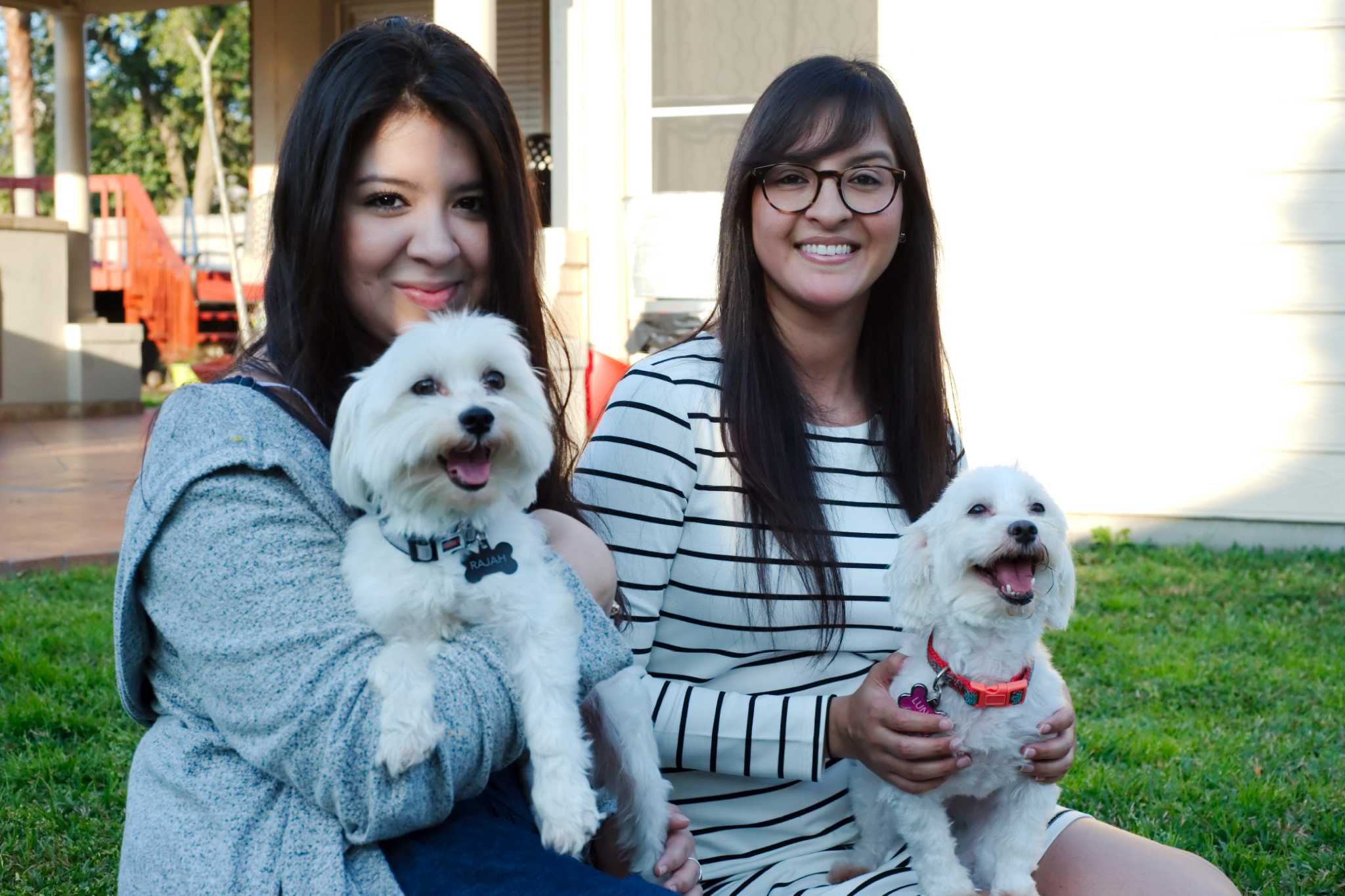 Deer Park dogs return home after they were stolen and placed on