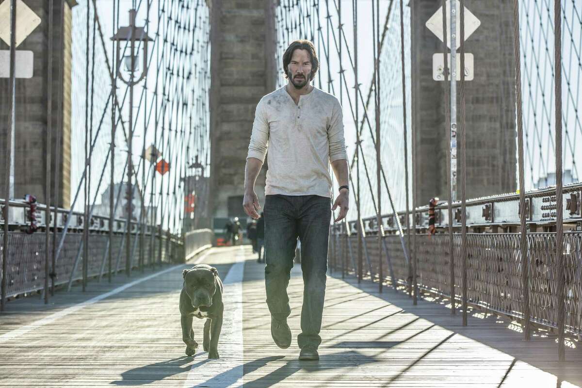 Don’t mess with John Wick or his new dog: Keanu Reeves in a scene from “John Wick: Chapter 2.”