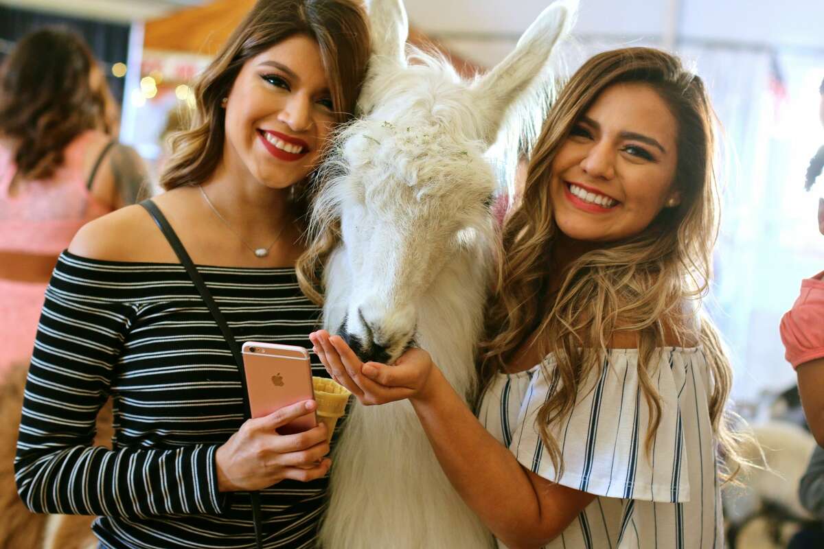 San Antonio Stock Show & Rodeo opened Thursday, see who was there for the festivities Feb. 9, 2017.