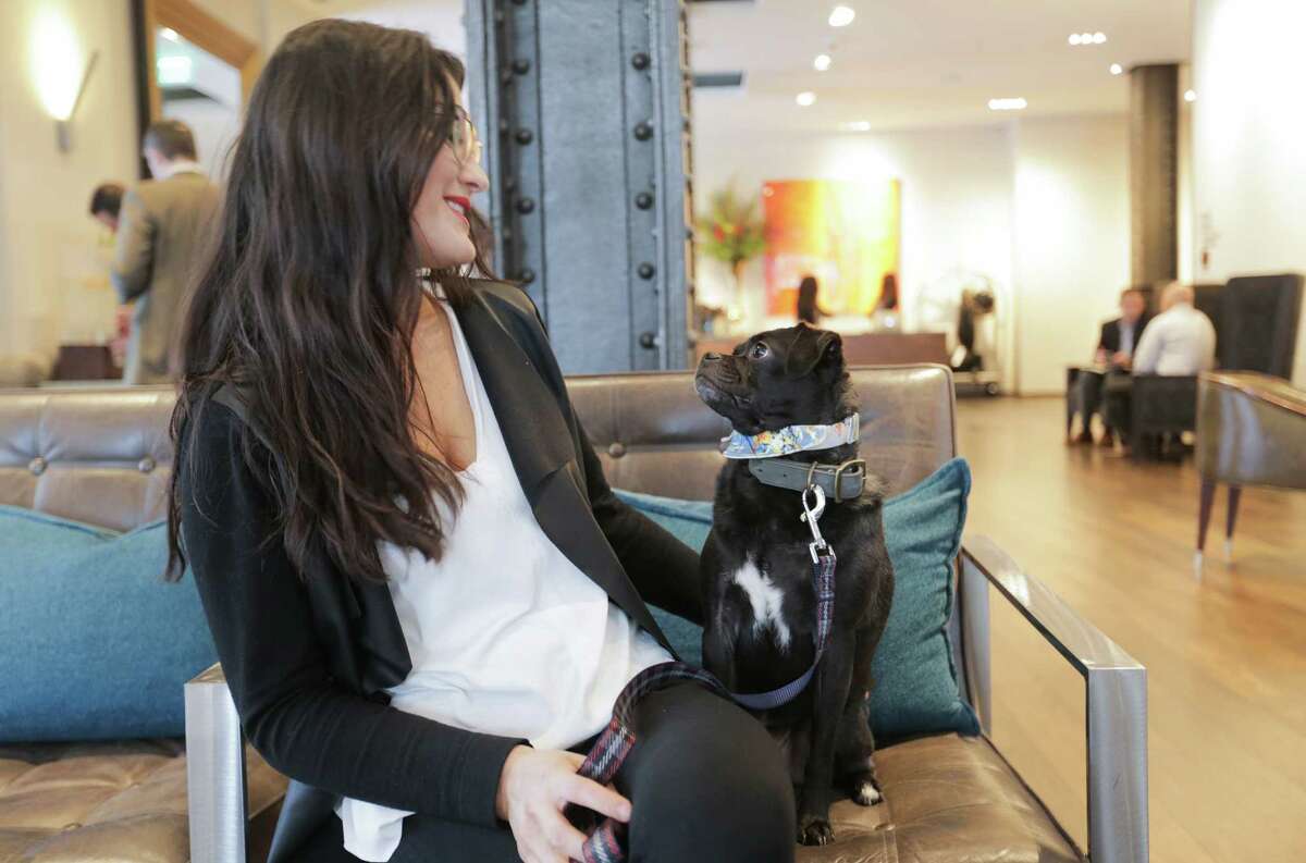 Hotels where pets stay free