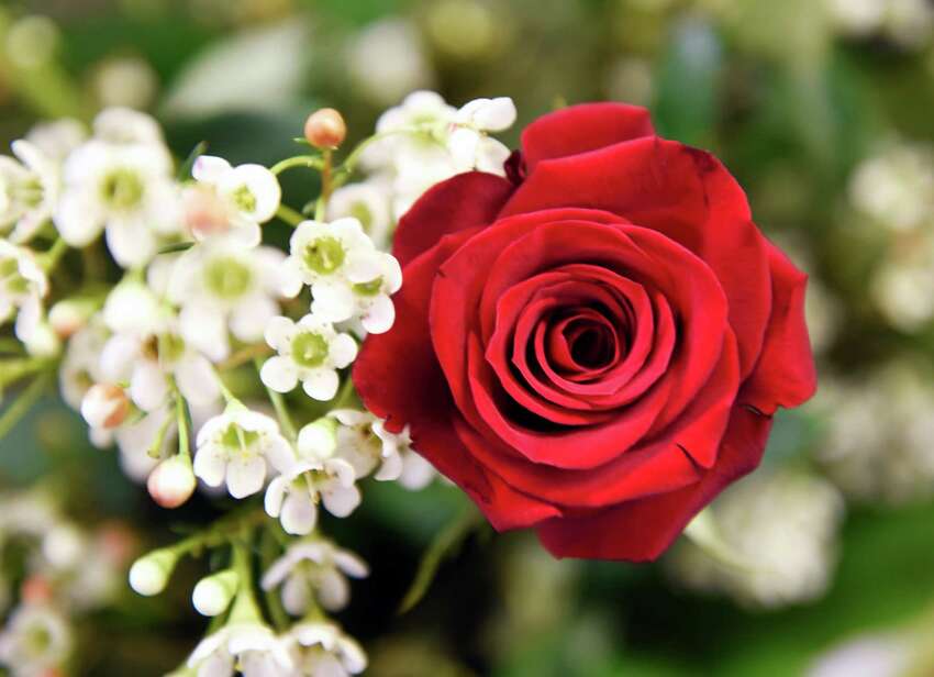 Official state symbols of New York