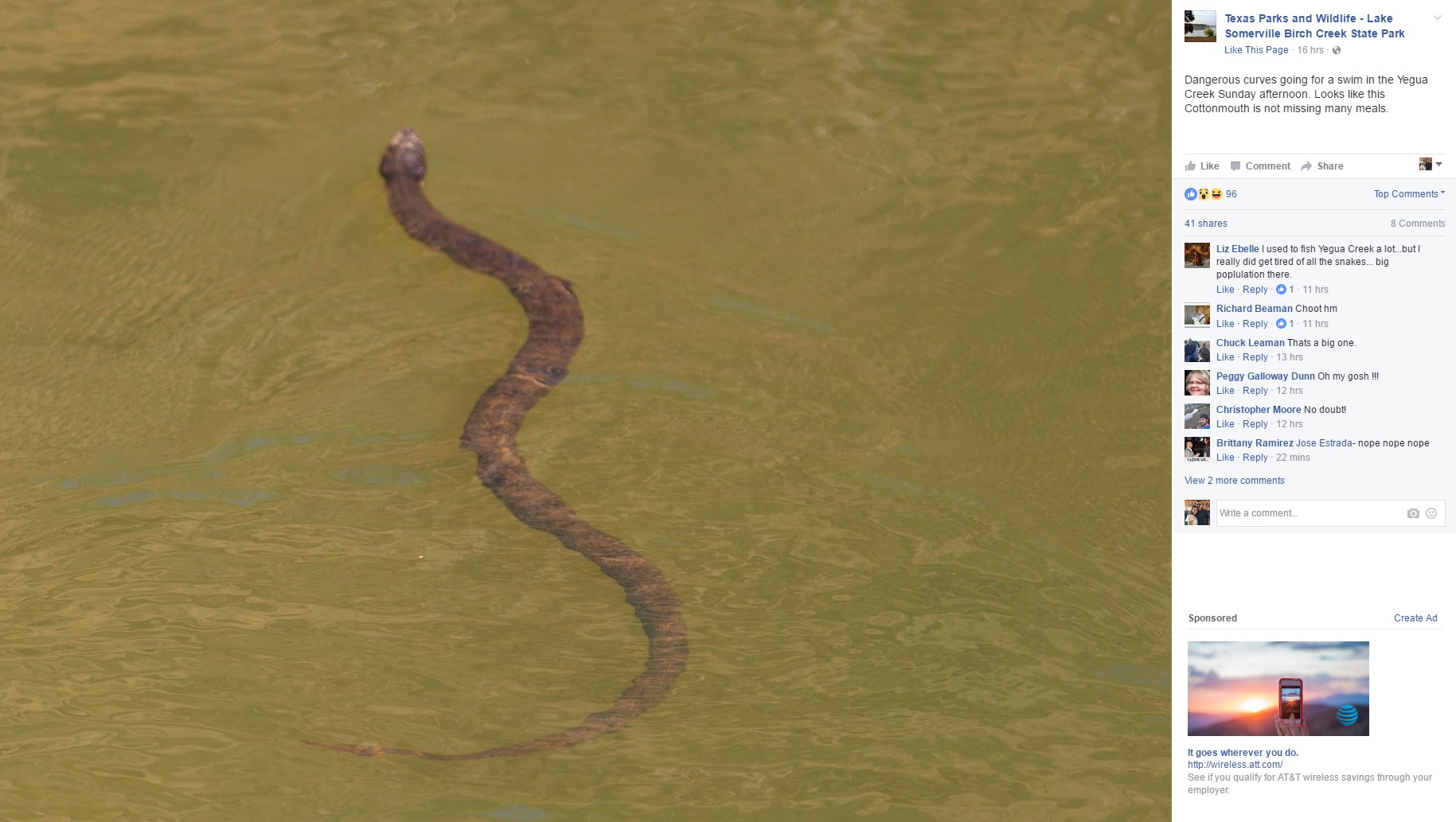 Большие змеи в воде. Амазонка змеи Анаконда. Река Амазонка змея Анаконда. Самая большая змея в Амазонке. Анаконда в Амазонке.