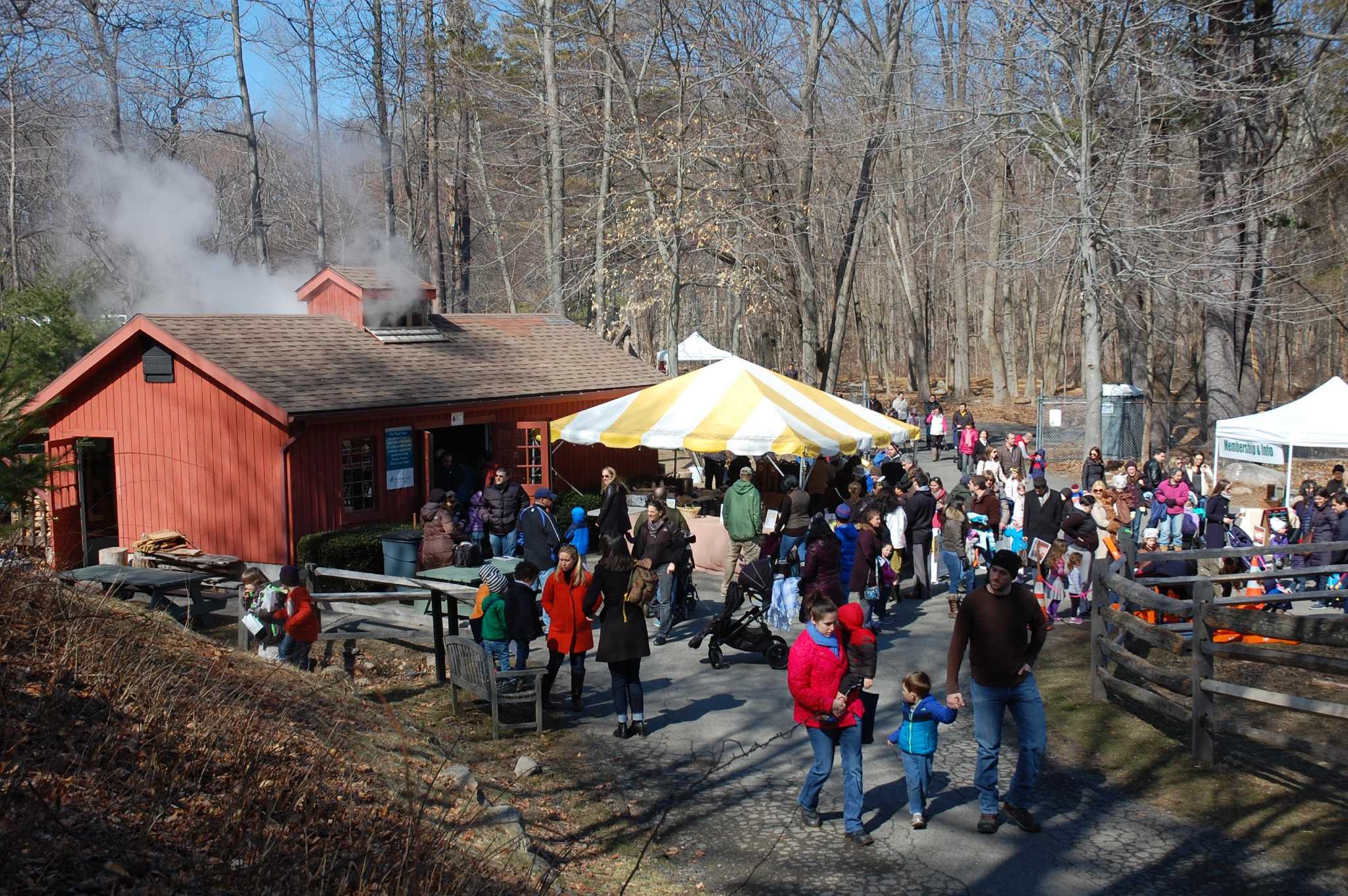 Maple Syrup Festival coming in two weeks