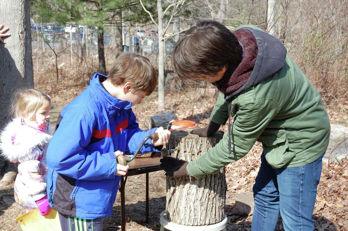 The sixth annual Stamford Museum & Nature Center Maple Sugar Festival Weekend will be from 11 a.m. to 3 p.m. Saturday March 4 and Sunday March 5 at the center at 39 Scofieldtown Road, Stamford. The festival is presented by First County Bank.