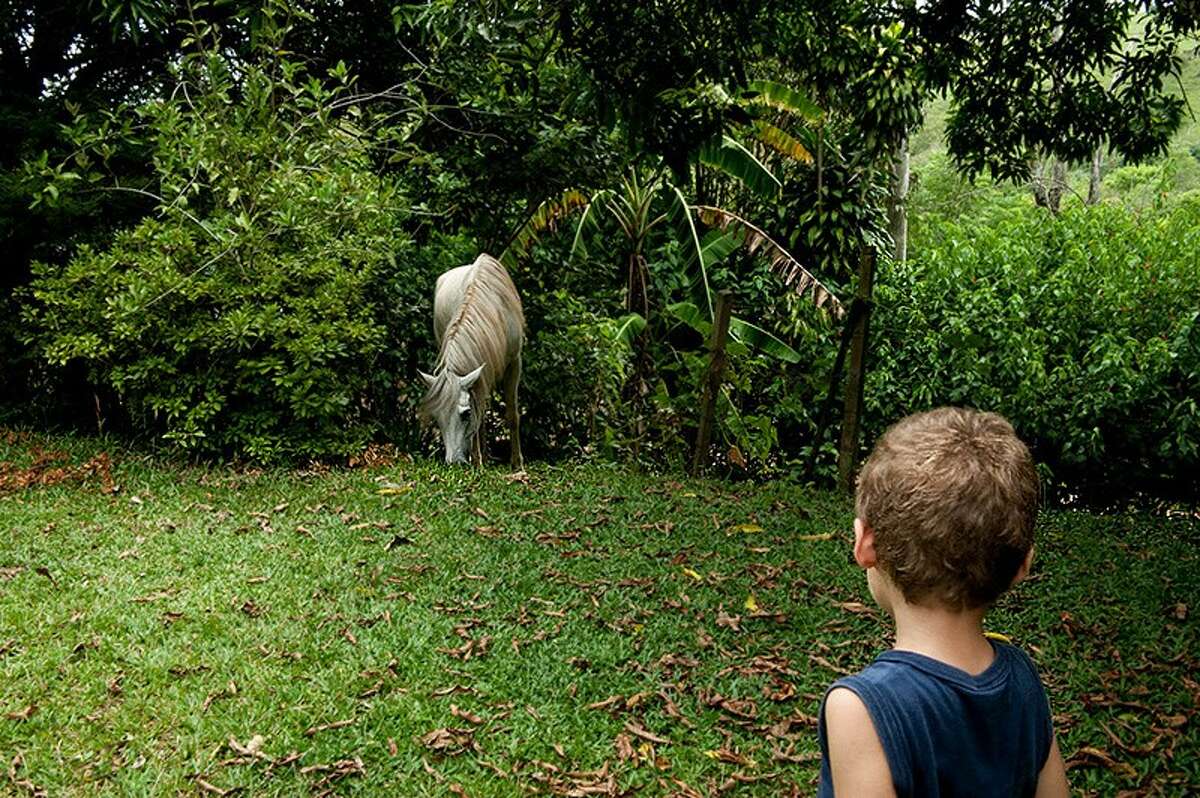 Brazilian photographer Ilana Barr is among the featured artists in the second round of openings and artist talks for FotoFest's "International Discoveries VI" show. Her series "Transparencies of Home" invites viewers into her family's life on a farm, where a brother and two uncles have Downs Syndrome.