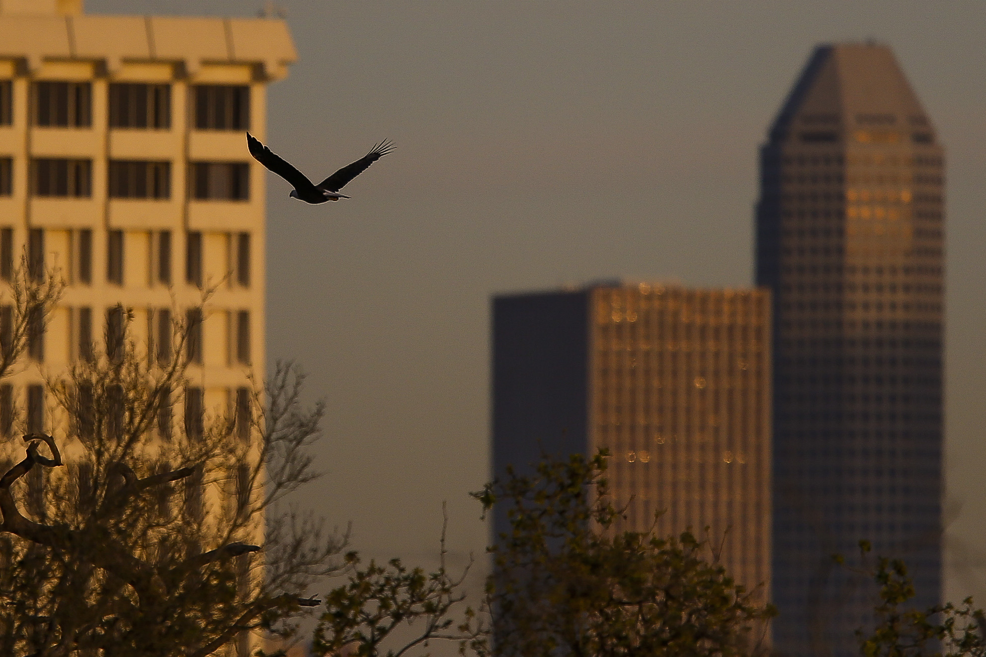 Most dangerous Houston suburbs ranked by 2017 violent crime rate