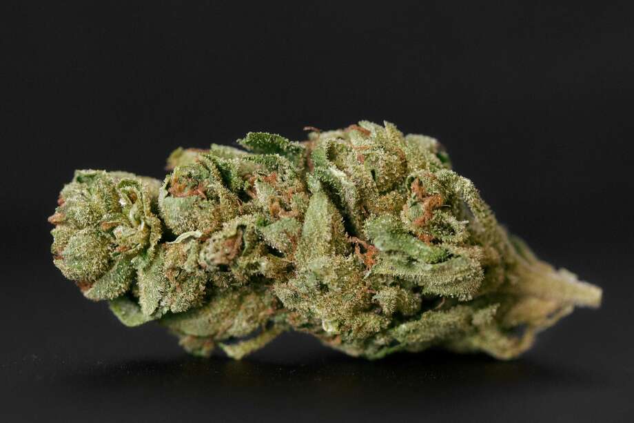 marijuana opponents make their case