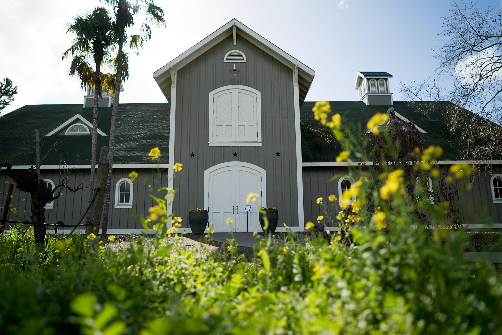 The White Wines Of Cabernet Country Sfgate
