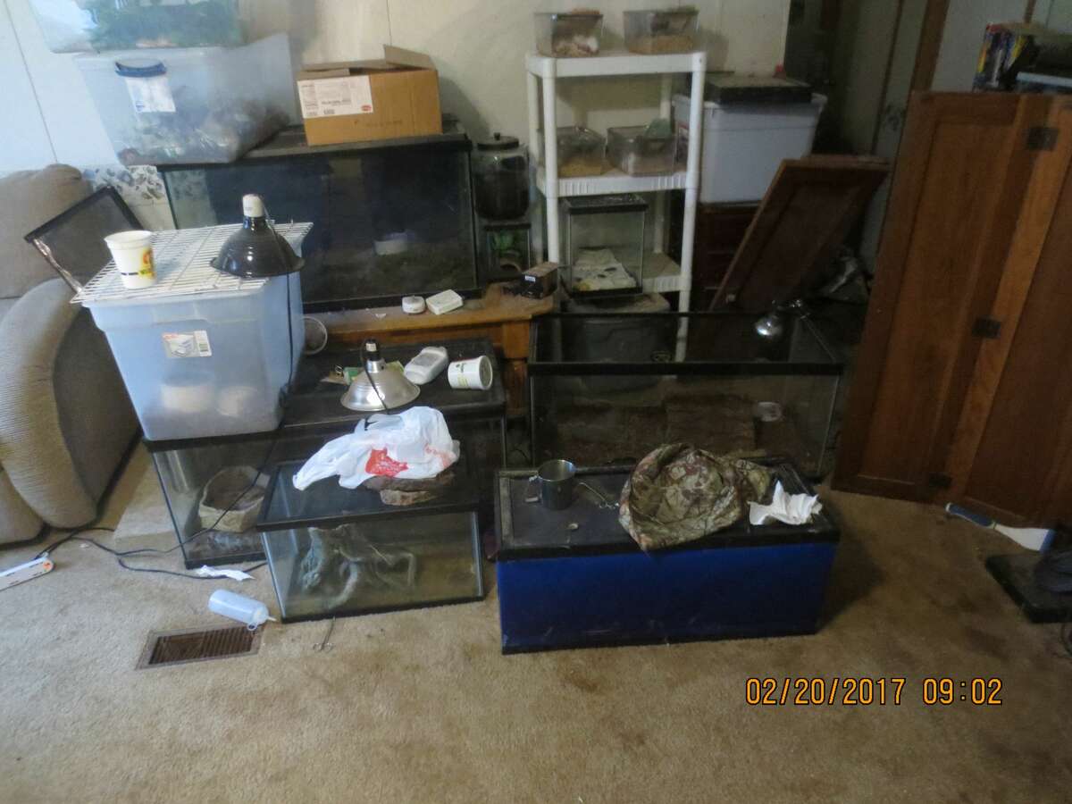 The Caldwell County Sheriff's Office and the SPCA of Texas seized hundreds of animals from a home near Lockhart on Feb. 20, 2017.