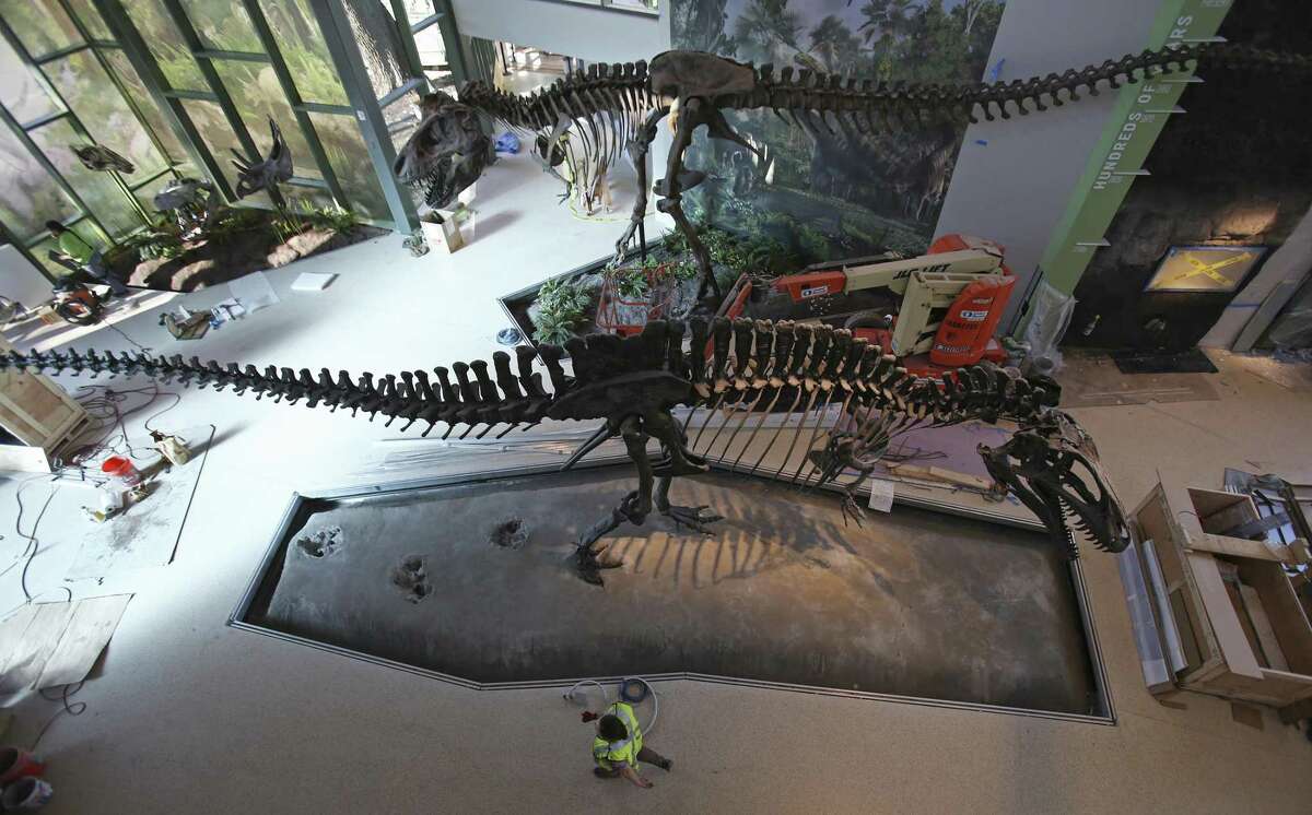 Workers walk by replicas of an Acrocanthosaurus atokensis, bottom, and a Tyrannosaurus rex in the Naylor Family Dinosaur Gallery at the Witte Museum.