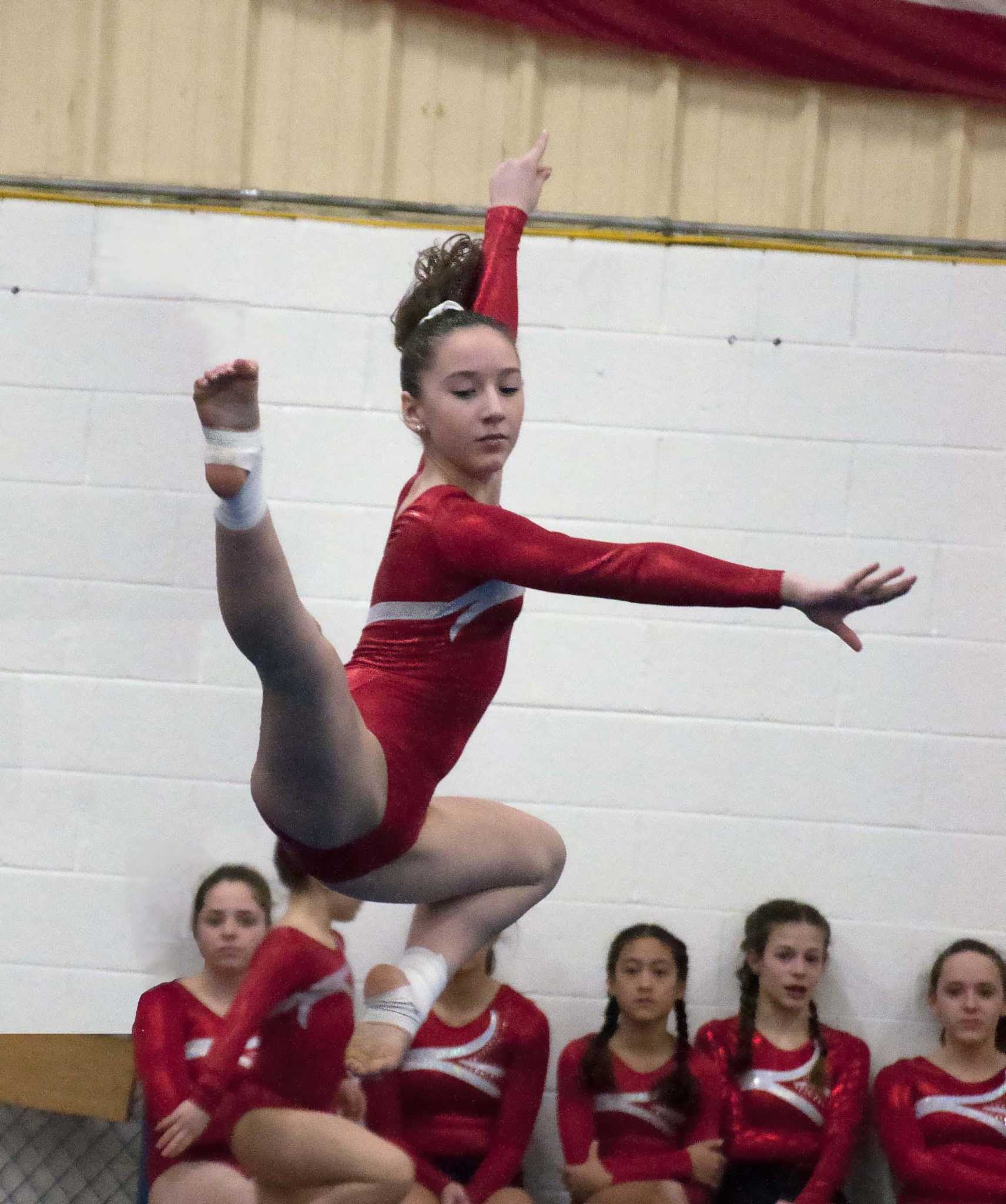 Wilton Y Gymnastics roundup