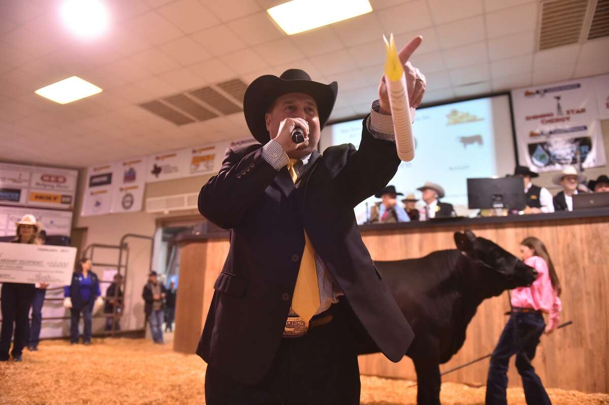 Auctioneer C. Jason spence points out a bid for Aven Horn (background) and her grand Champion steer, Prince, during the San Antonio Stock Show and Rodeo's annual auction Saturday. Prince brought in $106,000.