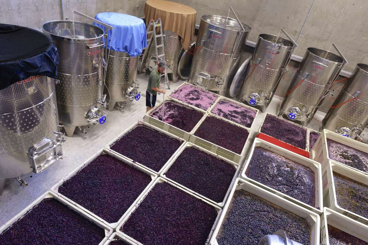 Doug Lewis of Lewis Wines punches down grapes that are fermenting at his winery in Johnson City.