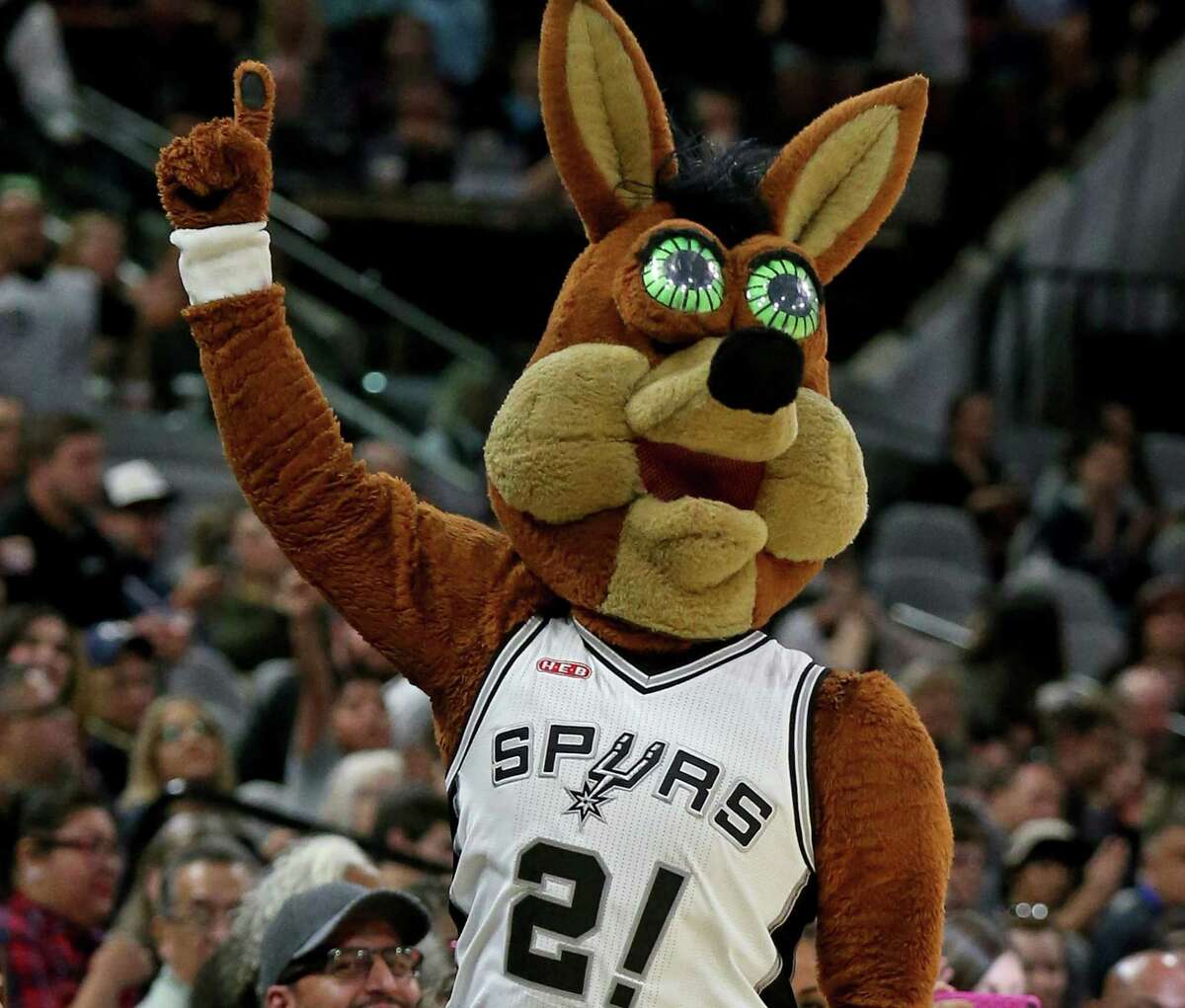 Le San Antonio Spurs Coyote se produit pendant le match préparatoire avec les Houston Rockets le 21 octobre 2016, au AT&T Center.  La mascotte est appréciée des fans des Spurs.