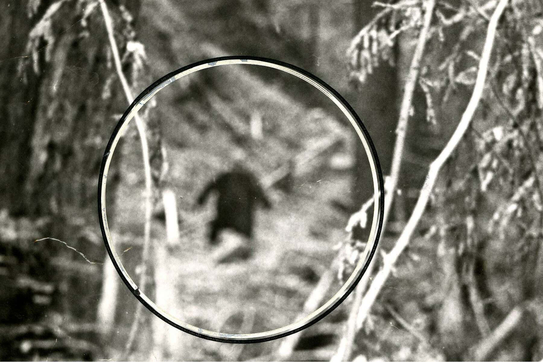 Beyond Bigfoot: Rediscovering 60 years of Sasquatch stories