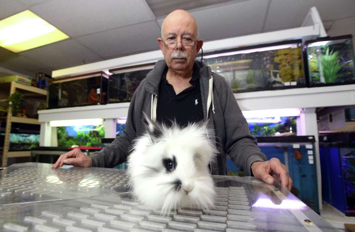 Fish Bowl pet store owner Tony Aversano with a Lionhead bunny, a breed he sales at his Hope Street store in Stamford on Feb. 24, 2017. Aversano is upset about the city's new animal control ordinance which restricts the sales of rabbits a month before Easter. According to Aversano, "The city's passage of an ordinance does little to benefit rabbits and bunnies by restricting conscientious long time operators like him."