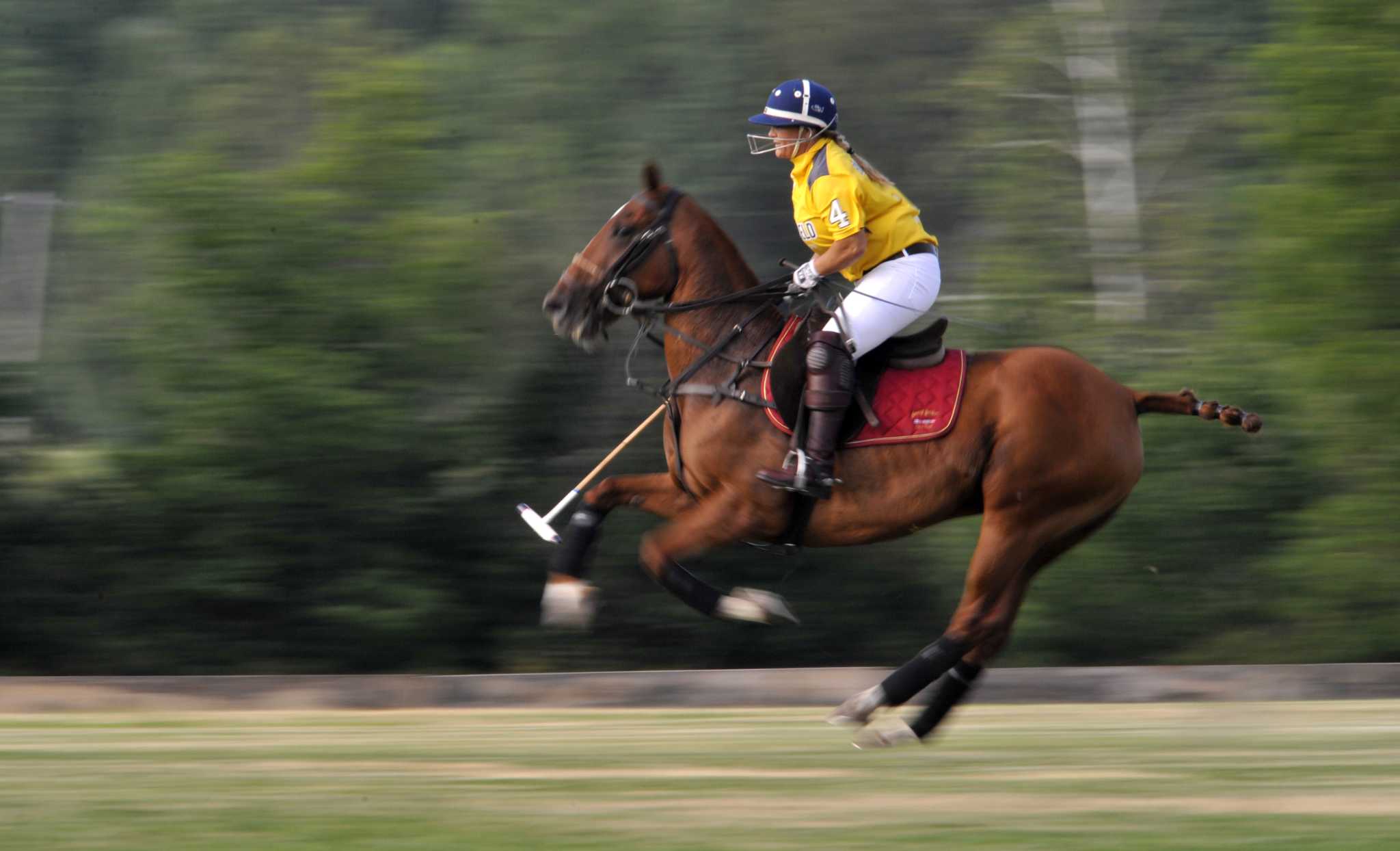 Sue Sally Hale Legendary American Polo Pioneer, broke the gender barrier in Polo Sue Sally Hale Legendary American Polo Pioneer, broke the gender barrier in Polo