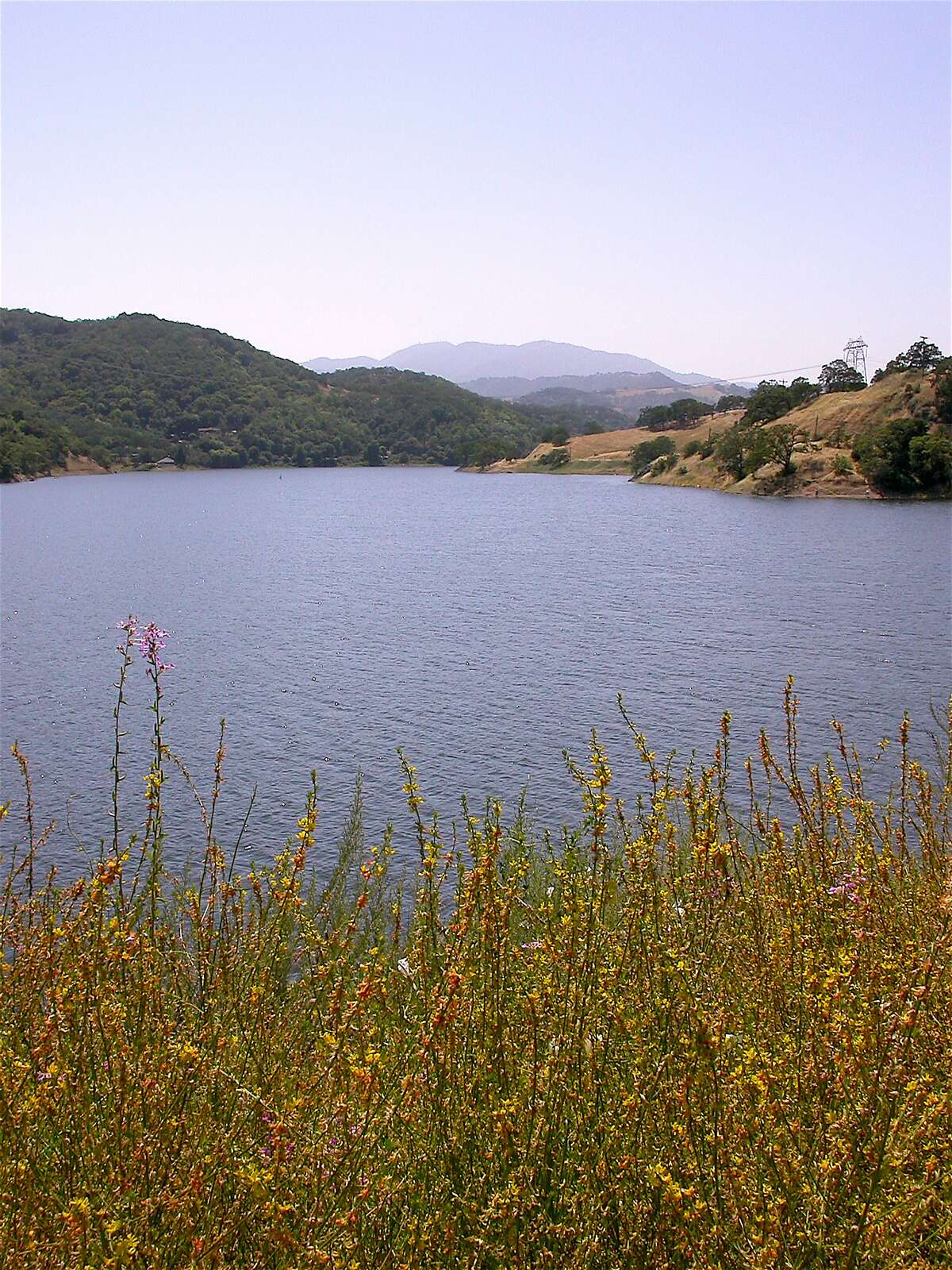 Bay Area’s wildflower bloom ready to start with a kaboom
