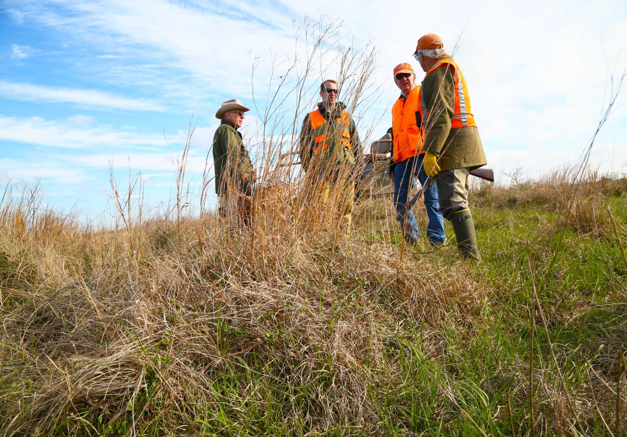 Grassland restoration experiencing success near Houston