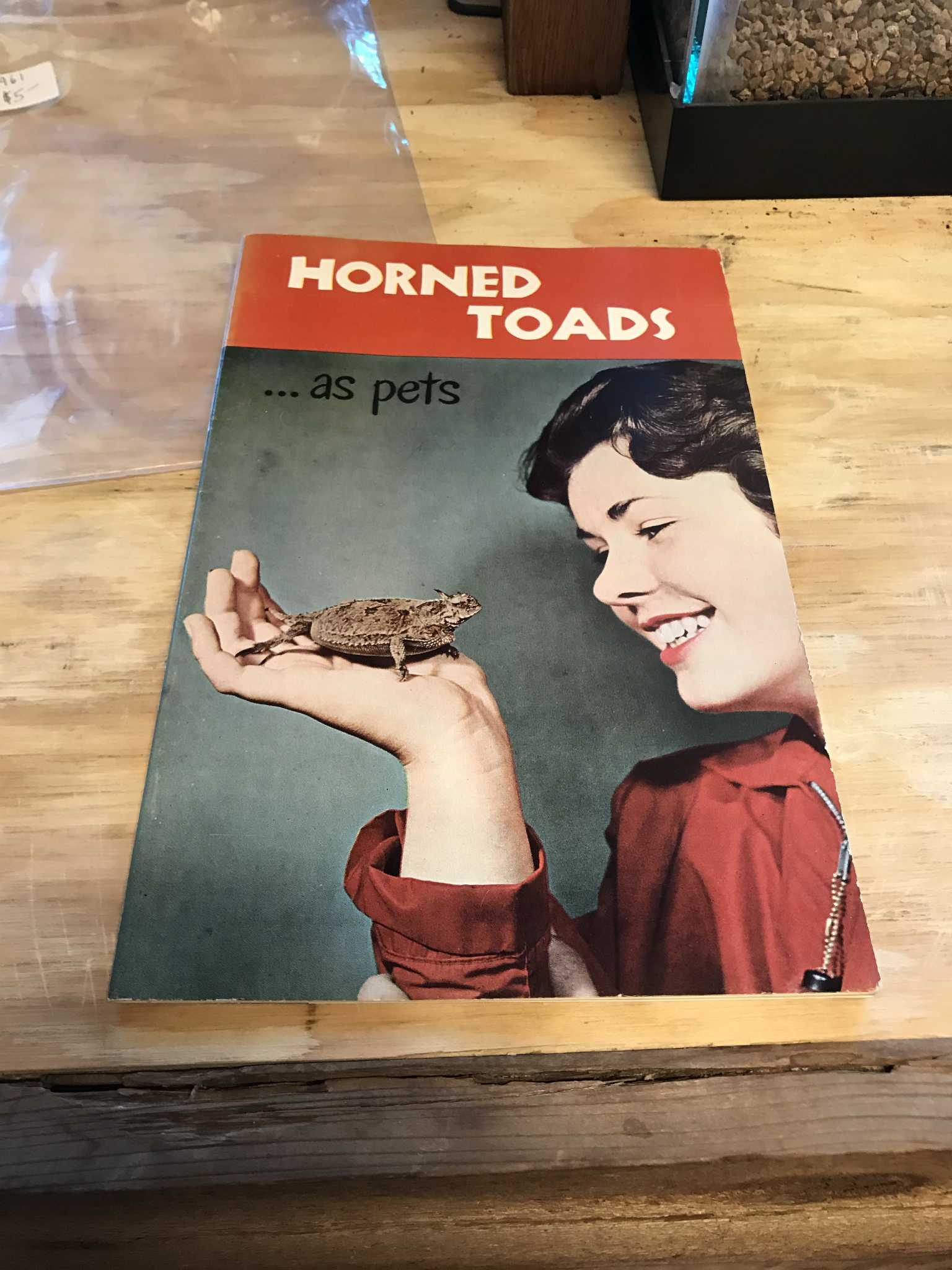 Hornedtoad 'whisperer' urges care with threatened species