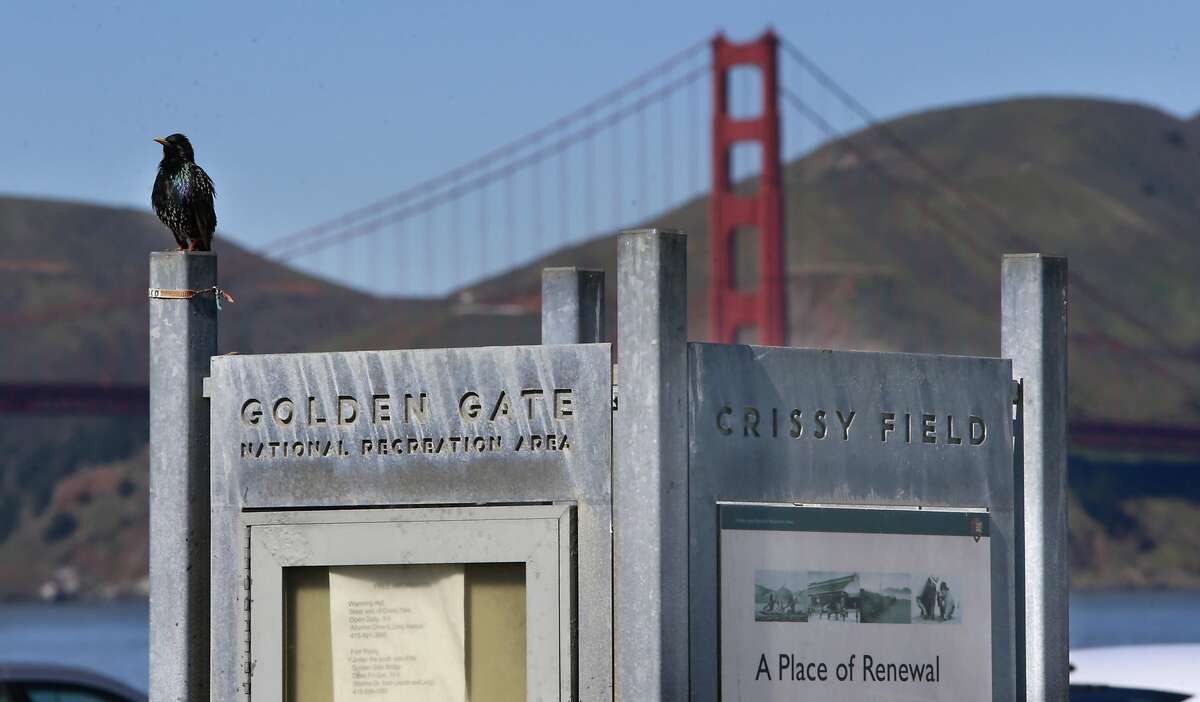 Crissy Field promenade closures to begin for major restoration