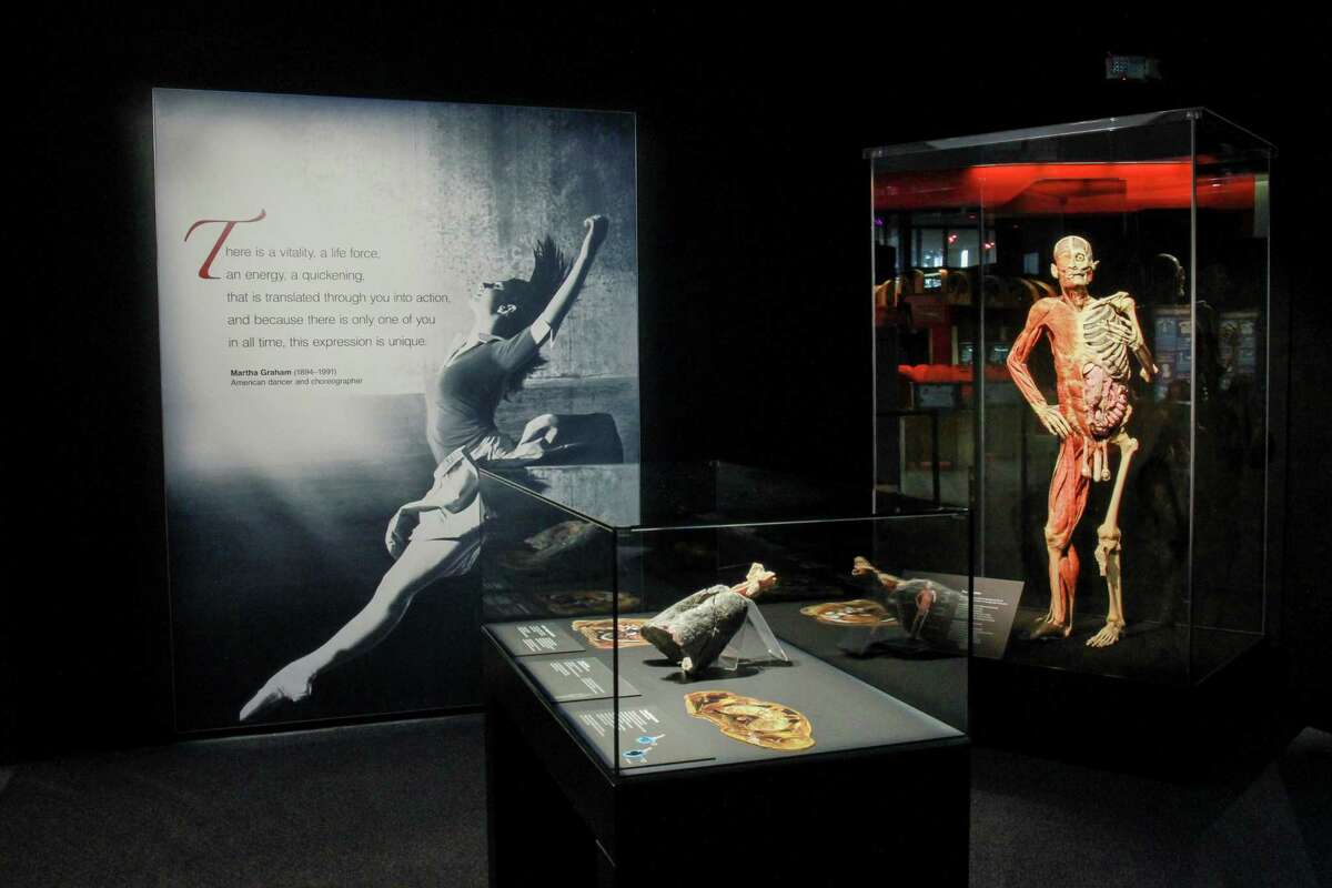 Two exhibits take vastly different approaches to exploring our existence