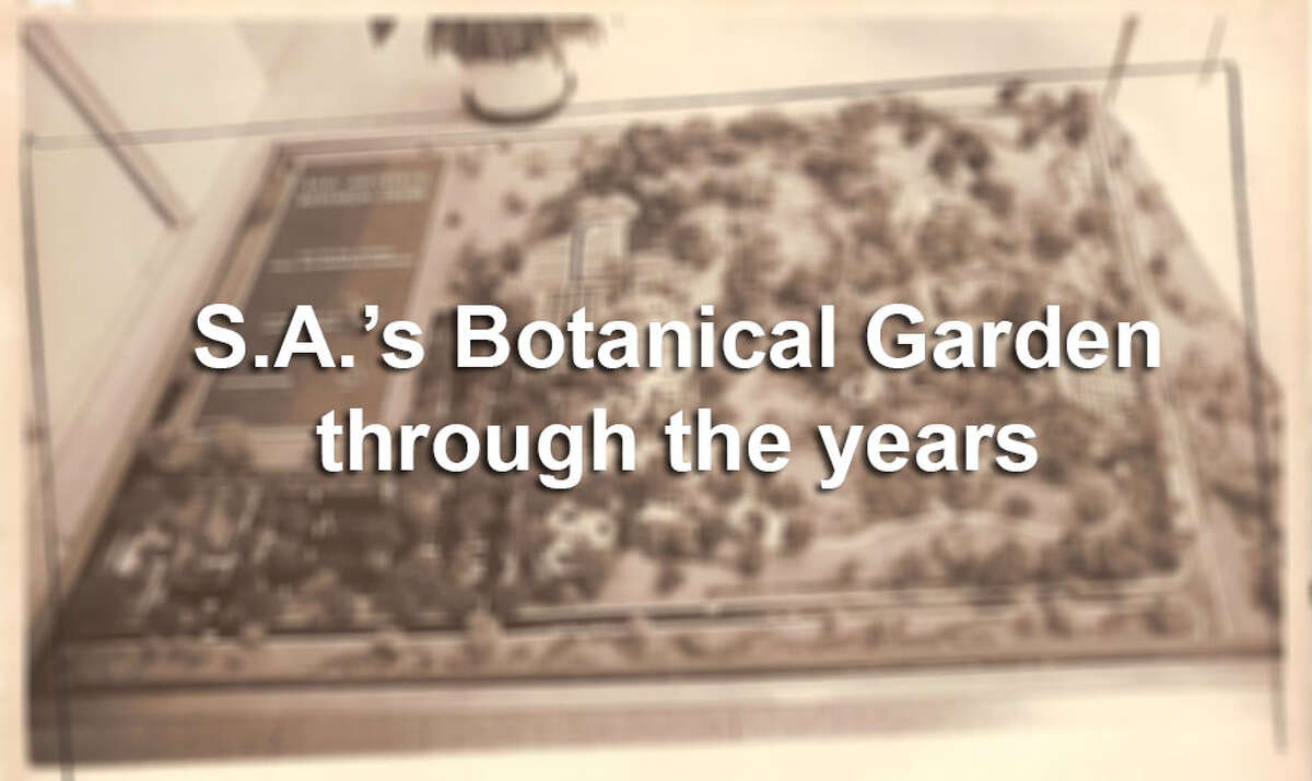 Click ahead to see the early days of the San Antonio Botanical Garden, which opened in 1980.
