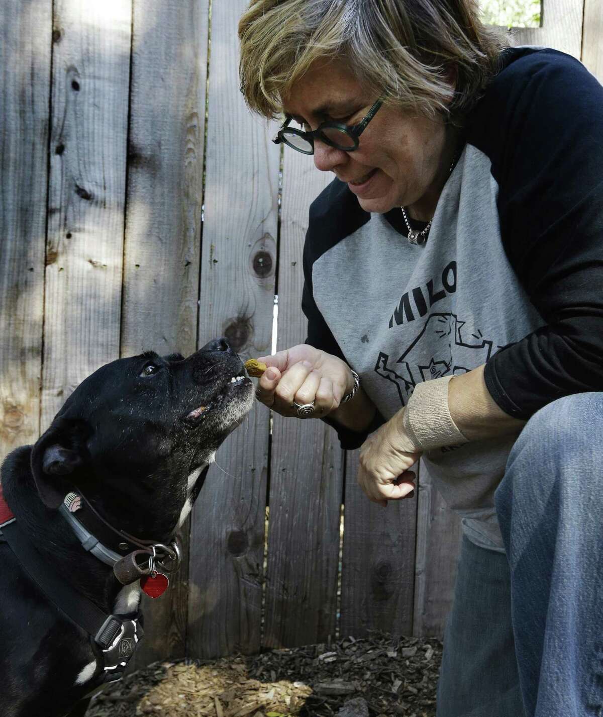 Lynne Tingle administers a hemp-based biscuit as a medicinal treatment to a dog at the Milo Foundation pet adoption center in Richmond, Calif. Most of these pet products, which aren’t regulated, contain cannabidiol or CBD, a chemical compound found in cannabis that doesn’t get pets or humans high. They contain little or no tetrahydrocannabinol or THC, the cannabis compound known for its psychoactive effects.