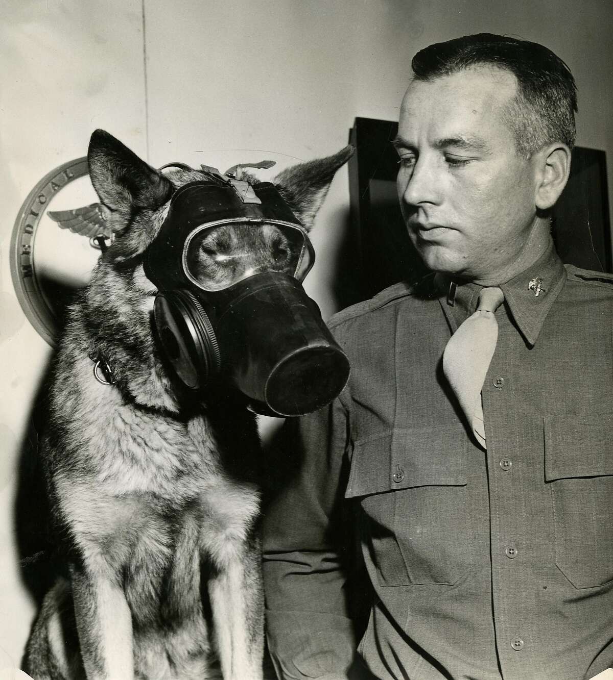 California city tops list of dog attacks on mail carriers