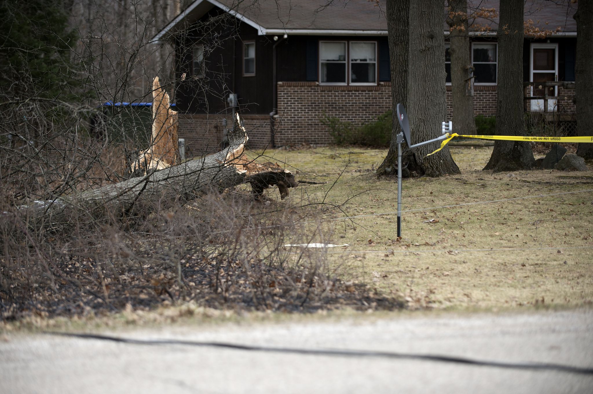 Strong winds bring down trees and power lines