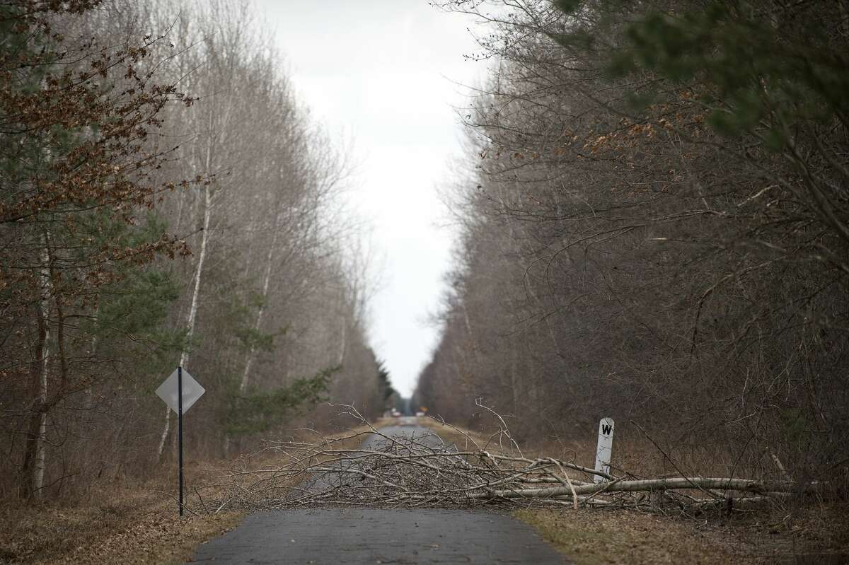 Strong winds bring down trees and power lines