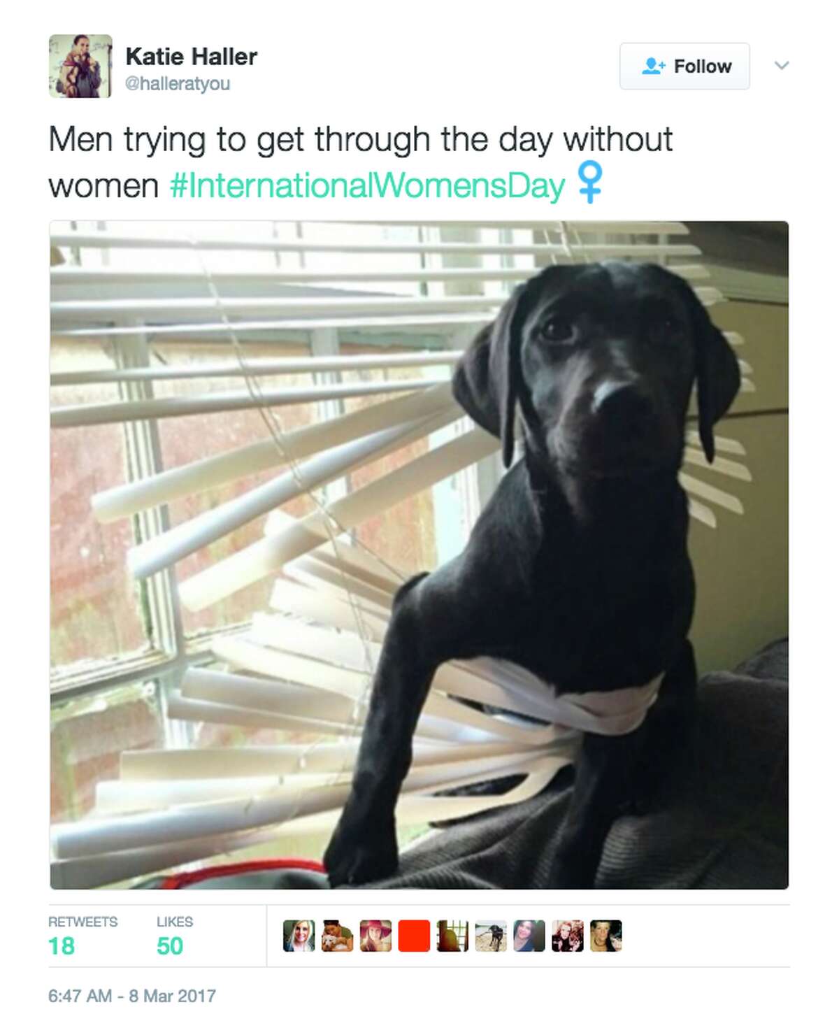 Twitter celebrates International Women�s Day with