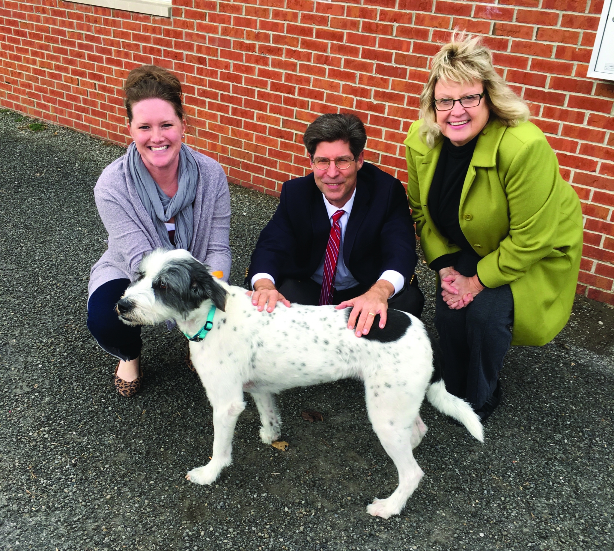 Madison County Animal Shelter edging closer to no kill status